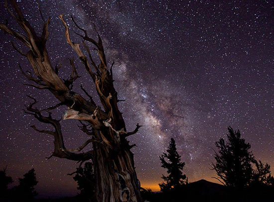 Picture 11 of The most beautiful astronomical images of 2010