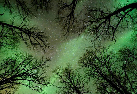 Picture 4 of The most beautiful astronomical images of 2010