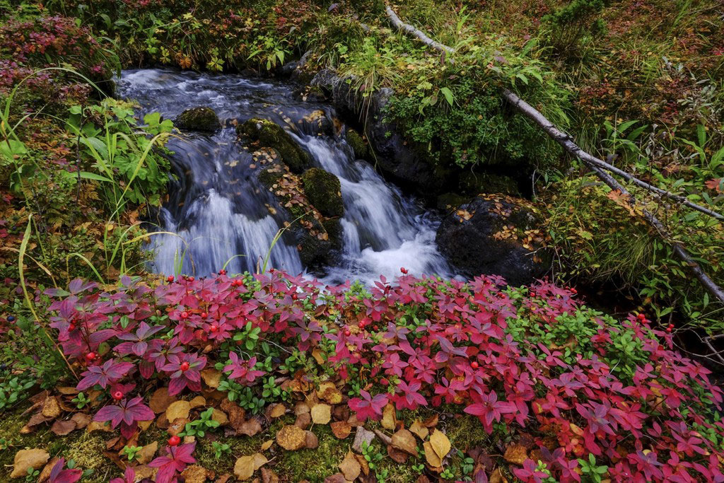Picture 16 of The most beautiful magical world in 2015