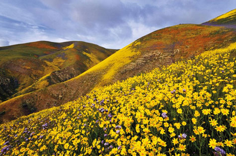 Picture 10 of The most beautiful natural photos in 2011