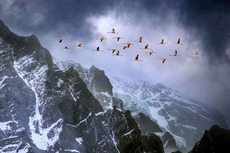 Picture 11 of The most beautiful natural photos in 2011
