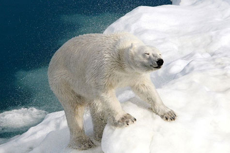 Picture 5 of The most beautiful natural photos in 2011