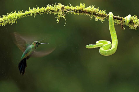 Picture 6 of The most beautiful natural photos in 2011