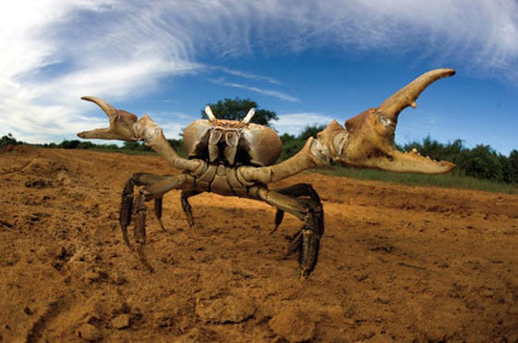 Picture 7 of The most beautiful natural photos in 2011