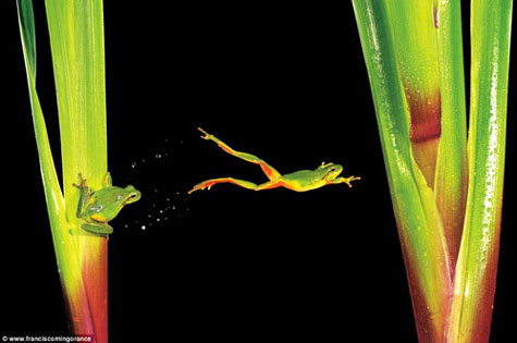 Picture 8 of The most beautiful natural photos in 2011