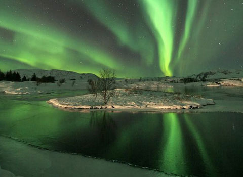 Picture 5 of The most beautiful nature photo in May