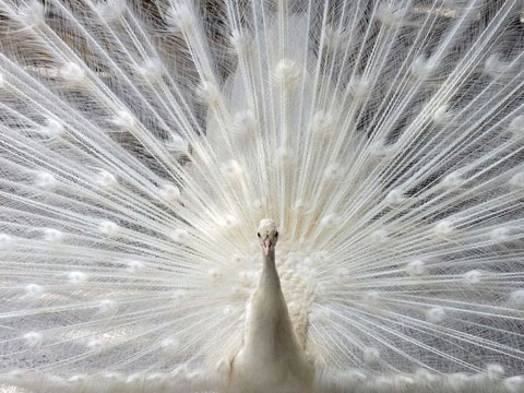 Picture 2 of The most beautiful nature photo of April