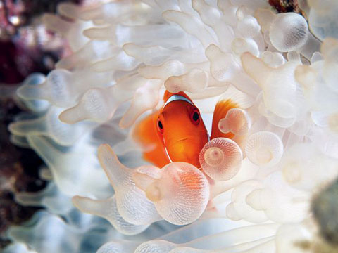 Picture 6 of The most beautiful nature photo of April