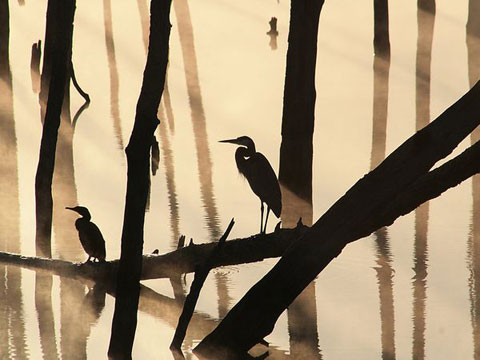 Picture 8 of The most beautiful nature photo of April