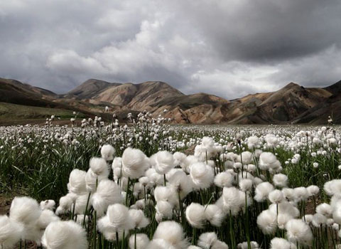 Picture 9 of The most beautiful nature photo of January