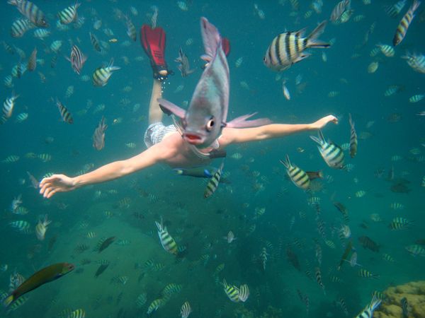 Picture 1 of The most beautiful nature photos in December 2010