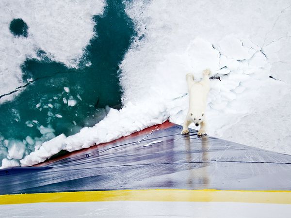 Picture 3 of The most beautiful nature photos in December 2010