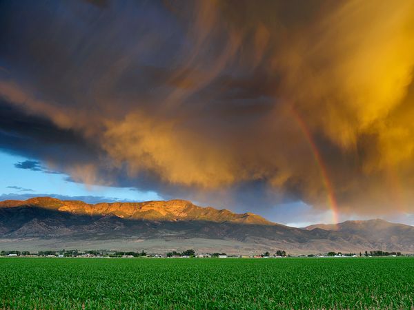 Picture 5 of The most beautiful nature photos in December 2010