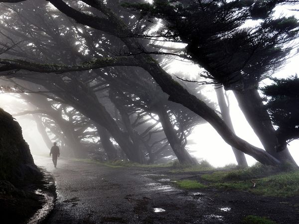 Picture 8 of The most beautiful nature photos in December 2010