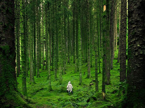 Picture 9 of The most beautiful nature photos in December 2011