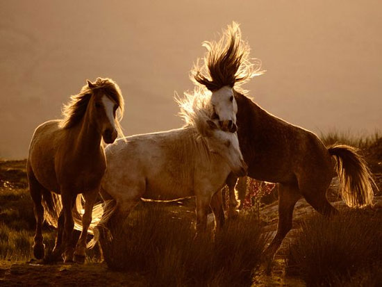 Picture 10 of The most beautiful nature photos in July 2011