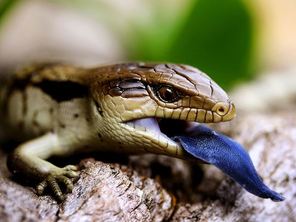 Picture 2 of The most beautiful nature photos in July 2011