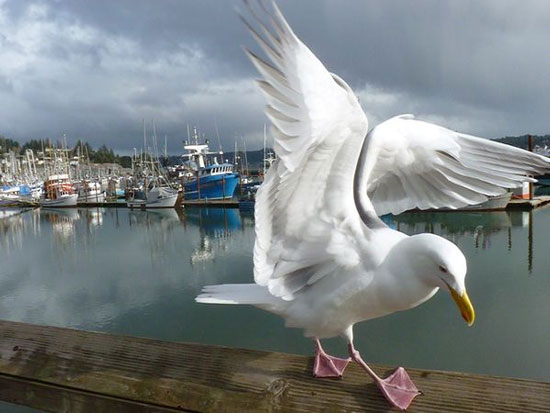 Picture 3 of The most beautiful nature photos in July 2011