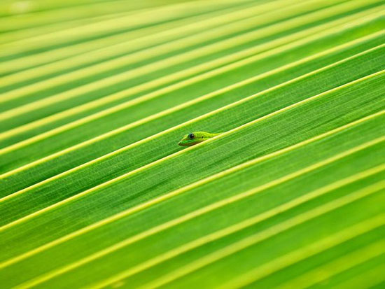 Picture 7 of The most beautiful nature photos in July 2011