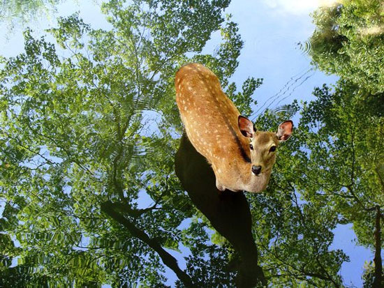 Picture 9 of The most beautiful nature photos in July 2011