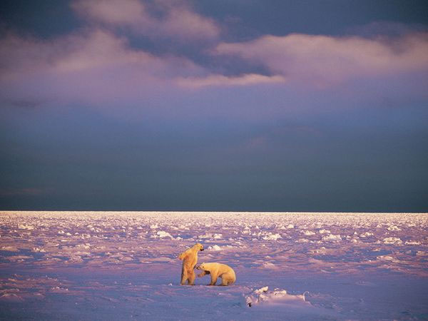 Picture 10 of The most beautiful nature photos in November 2011