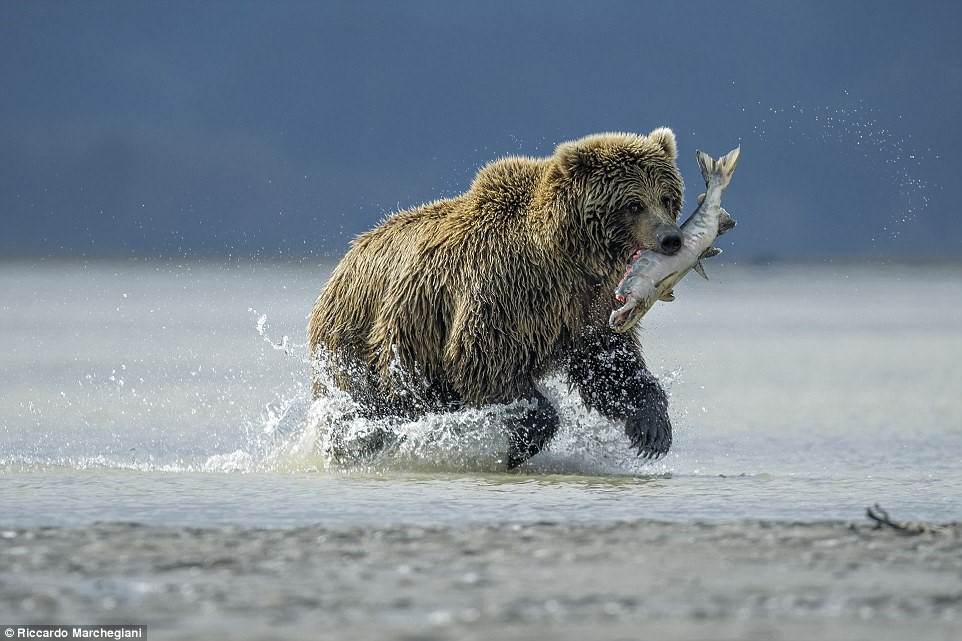 Picture 15 of The most beautiful outdoor travel photos in 2016