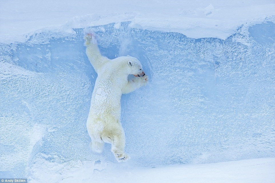 Picture 9 of The most beautiful outdoor travel photos in 2016