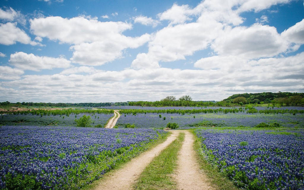 Picture 7 of The most beautiful routes in the United States