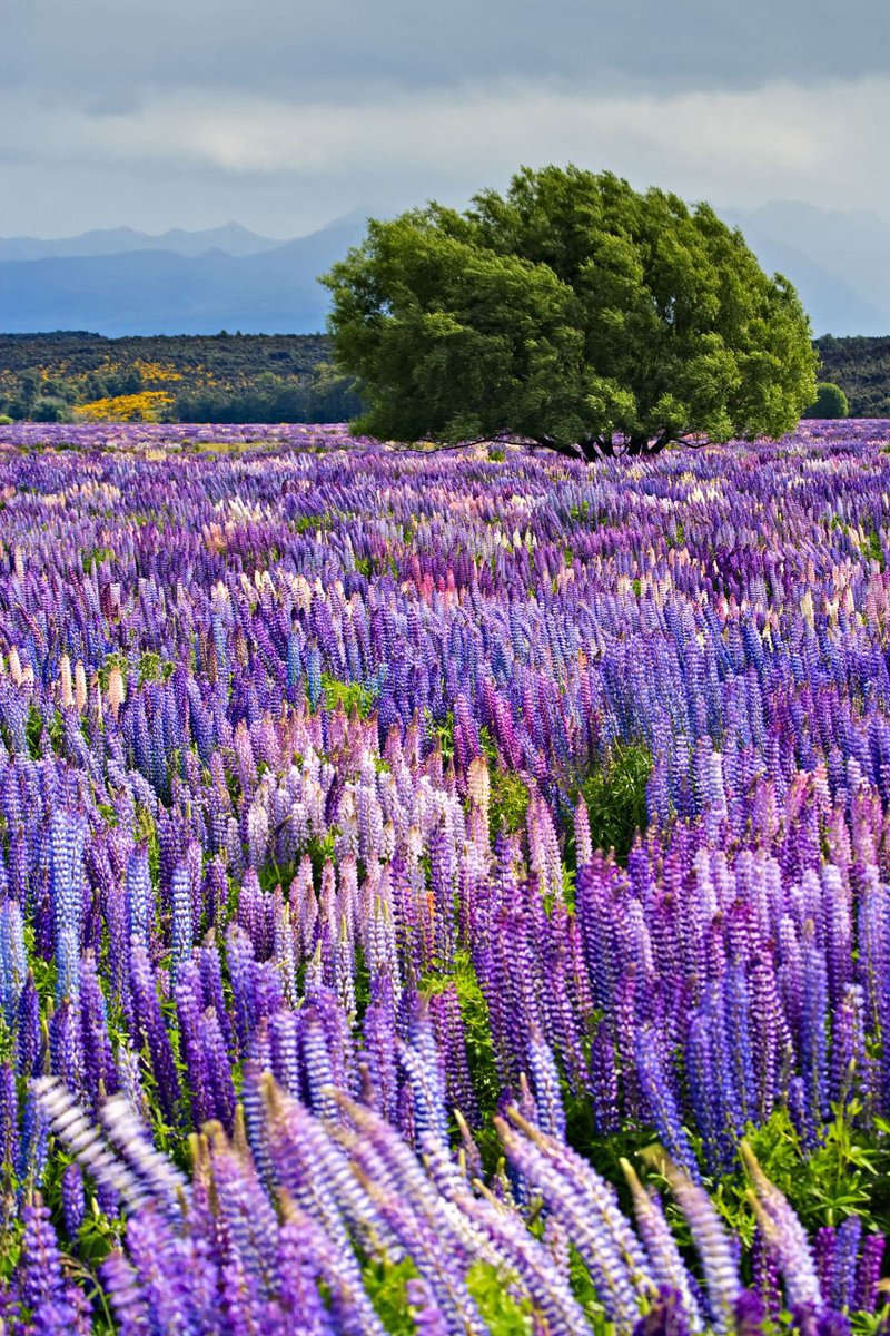 Picture 10 of The most beautiful sightseeing places in the world