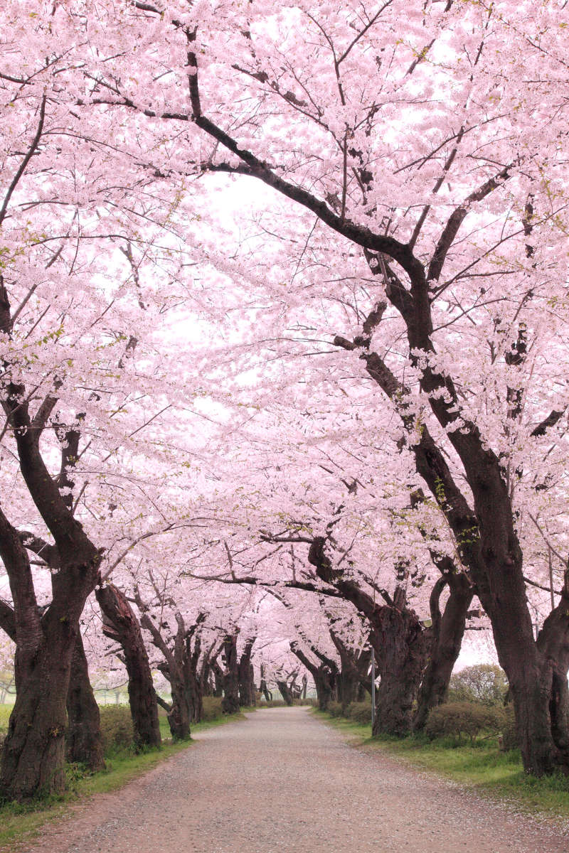Picture 2 of The most beautiful sightseeing places in the world