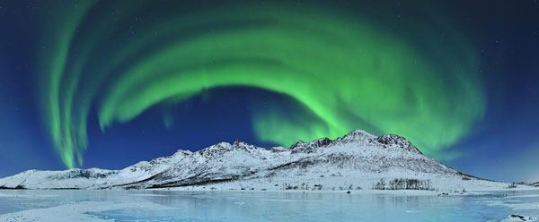 Picture 9 of The most beautiful wildlife photo of the year