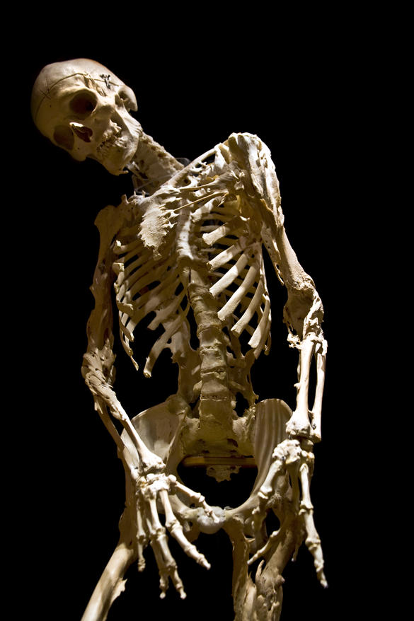 Picture 5 of The most bizarre burial methods in the world