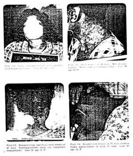 Picture 6 of The most bizarre experiments of all time
