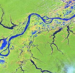 Picture 6 of The most bizarre science stories in 2006