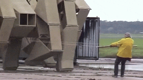 Picture 1 of The most bizarre walking bike in the world