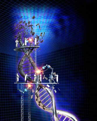 Picture 12 of The most breakthrough scientific images in 2009