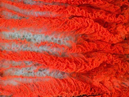 Picture 7 of The most breakthrough scientific images in 2009