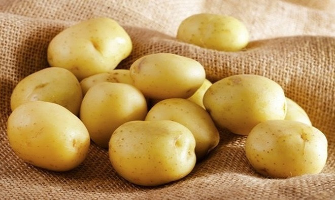 Picture 4 of The most common genetically modified foods