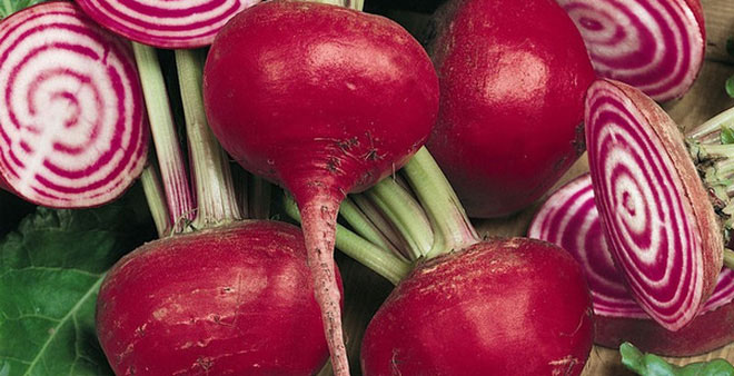 Picture 9 of The most common genetically modified foods