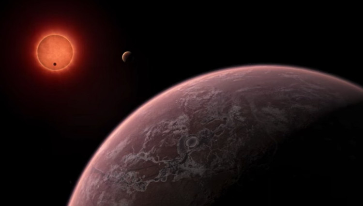Picture 7 of The most crazy 'scientific' discoveries in 2017