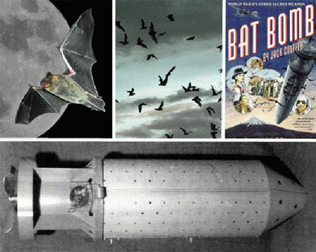 Picture 8 of The most crazy 'weapons inventions' of the century