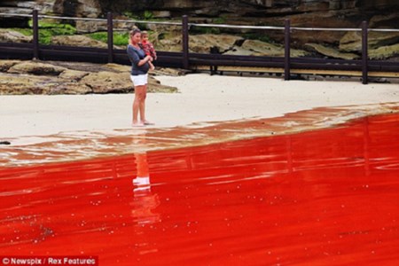 Picture 11 of The most curious mysterious natural phenomena