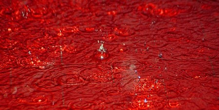 Picture 12 of The most curious mysterious natural phenomena