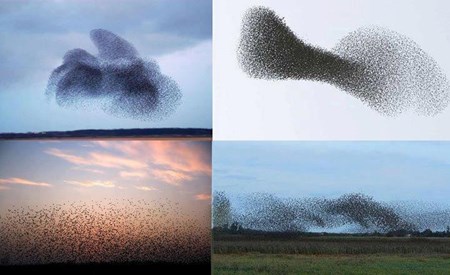 Picture 17 of The most curious mysterious natural phenomena