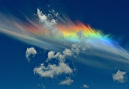 Picture 21 of The most curious mysterious natural phenomena