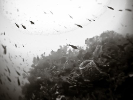 Picture 7 of The most curious mysterious natural phenomena