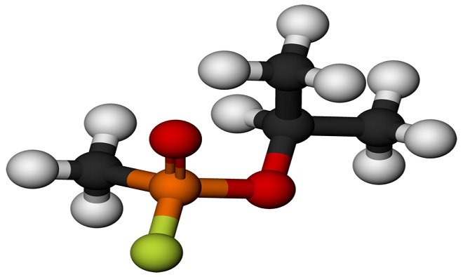 Picture 6 of The most dangerous toxins to humans