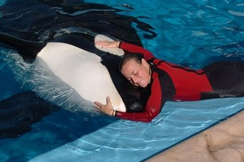 Picture 5 of The most exotic animals in 2010