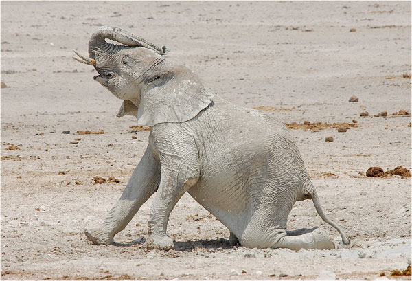 Picture 9 of The most exotic deserts in the world