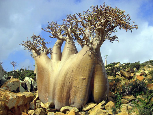 Picture 4 of The most exotic islands in the world